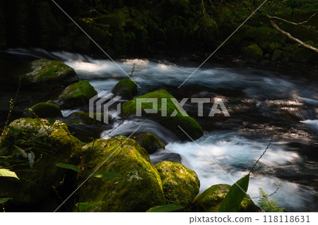 Summer Kikuchi Valley 118118631