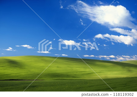 A beautiful summer or spring landscape with green grass on the hills and green fields. The blue sky is filled with white clouds and bright sunlight. Nature as a background. 118119302