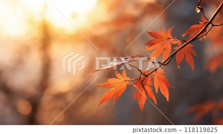 beautiful autumn landscape with red and yellow leaves on the branches of trees in the forest at sunset, sunlight and beautiful nature 118119825