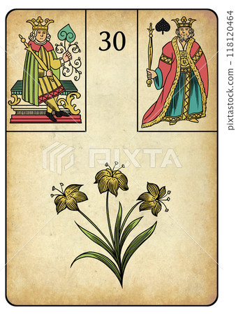 Lenormand Card 30 Lily 118120464