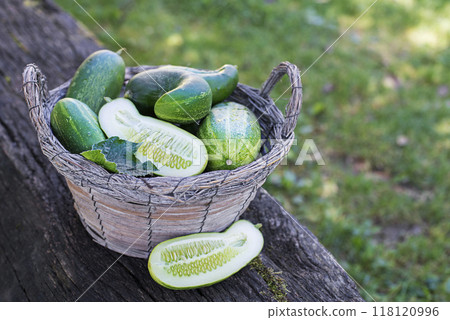 Cucumber 118120996