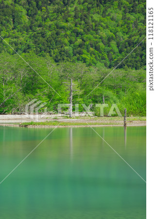 Taisho Pond surrounded by fresh greenery in Kamikochi, a scenic mountain spot in Azumi, Matsumoto City, Nagano Prefecture, Japan Taisho Pond surrounded by fresh greenery in Kamikochi, a scenic mountain spot in Azumi, Matsumoto City, Nagano Prefecture, Japan 118121165