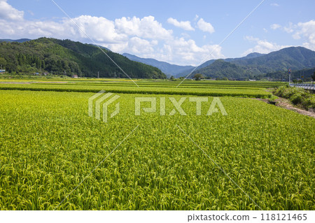 Summer countryside scenery Tottori Prefecture Gunge Town 118121465