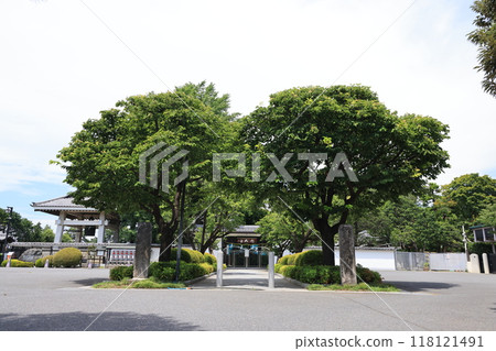 埼玉縣埼玉市普門院風景 埼玉縣埼玉市普門院風景 118121491