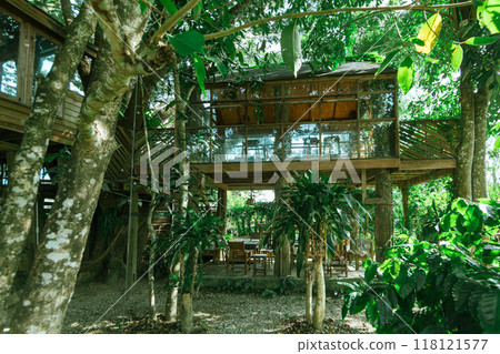 Wooden tree cabin 118121577