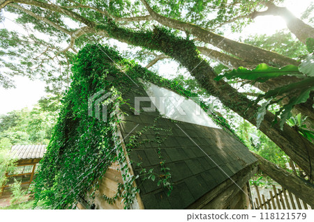 Wooden tree cabin 118121579