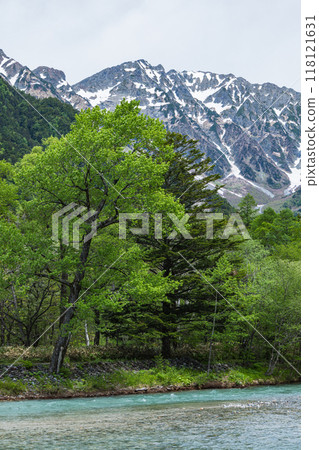 上高地是日本長野縣松本市安曇市的一個風景優美的山區，周圍環繞著新鮮的綠色植物，背景中可見穗高山脈。 118121631