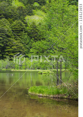 Ichinoike Pond, Myojin Pond in the Okumiya area of Hotaka Shrine, Kamikochi, a scenic mountain spot in Azumi, Matsumoto City, Nagano Prefecture, Japan Ichinoike Pond, Myojin Pond in the Okumiya area of Hotaka Shrine, Kamikochi, a scenic mountain spot in Azumi, Matsumoto City, Nagano Prefecture, Japan 118121653