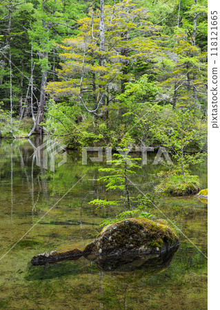 Kamikochi, a scenic mountain spot in Azumi, Matsumoto City, Nagano Prefecture, Japan. Ninoike Pond, one of the Myojin Ponds in the Okumiya area of Hotaka Shrine 118121665