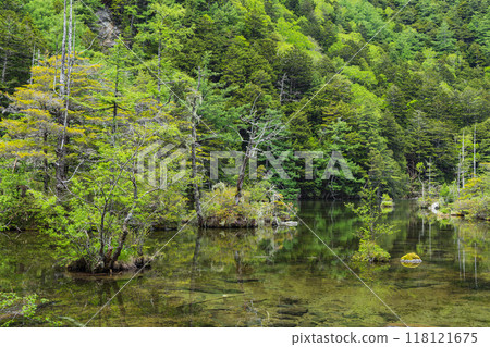 Kamikochi, a scenic mountain spot in Azumi, Matsumoto City, Nagano Prefecture, Japan. Ninoike Pond, one of the Myojin Ponds in the Okumiya area of Hotaka Shrine 118121675