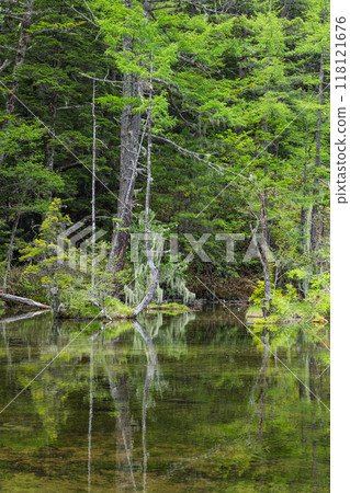 Kamikochi, a scenic mountain spot in Azumi, Matsumoto City, Nagano Prefecture, Japan. Ninoike Pond, one of the Myojin Ponds in the Okumiya area of Hotaka Shrine 118121676