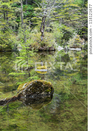 Kamikochi, a scenic mountain spot in Azumi, Matsumoto City, Nagano Prefecture, Japan. Ninoike Pond, one of the Myojin Ponds in the Okumiya area of Hotaka Shrine 118121677