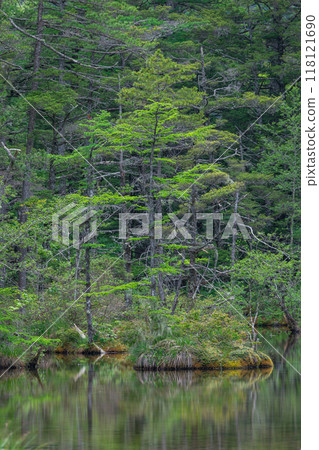 Kamikochi, a scenic mountain spot in Azumi, Matsumoto City, Nagano Prefecture, Japan. Ninoike Pond, one of the Myojin Ponds in the Okumiya area of Hotaka Shrine Kamikochi, a scenic mountain spot in Azumi, Matsumoto City, Nagano Prefecture, Japan. Ninoike Pond, one of the Myojin Ponds in the Okumiya area of Hotaka Shrine 118121690