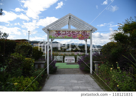 龜夢波斯菊花園 龜夢波斯菊花園 118121831