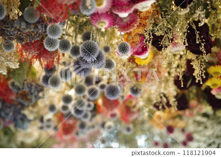Dried flower Dried flower 118121904