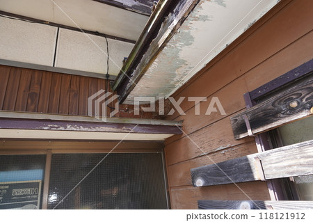 Wasp nest 01 118121912