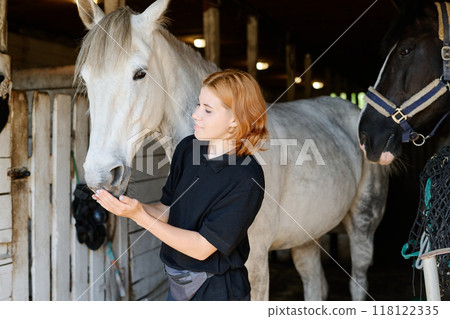 Feeding Horse in Stable with Gentle Touch Feeding Horse in Stable with Gentle Touch 118122335