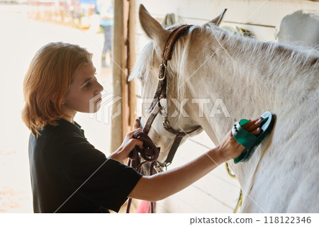 Brushing Horse in Stable with Care and Focus Brushing Horse in Stable with Care and Focus 118122346