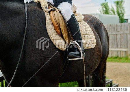 Equestrian Riding Saddle in Use with Skilled Rider Equestrian Riding Saddle in Use with Skilled Rider 118122586