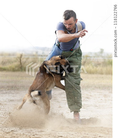 training of belgian shepherd 118122766