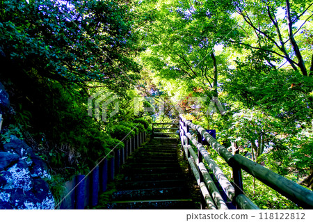 [青森]秋天的弘前：藤田紀念庭園的階梯和豐富的自然 118122812