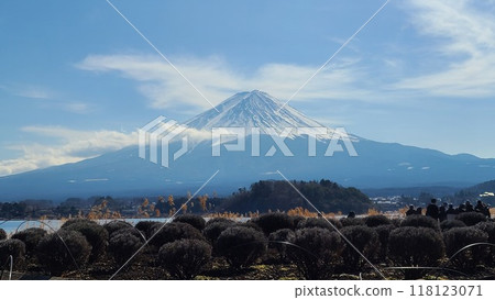 The magnificent Mount Fuji The magnificent Mount Fuji 118123071
