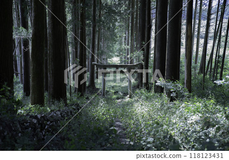 Torii gate of Arato Shrine in Niimi City, Okayama Prefecture 118123431