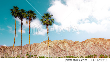 san jacinto mountain, palm springs, california 118124955