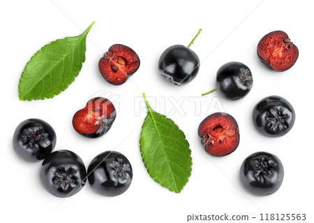 Chokeberry with leaf isolated on white background. Black aronia. Top view. Flat lay Chokeberry with leaf isolated on white background. Black aronia. Top view. Flat lay 118125563