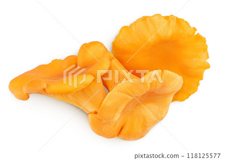 Chanterelle mushroom isolated on a white background. Top view. Flat lay 118125577