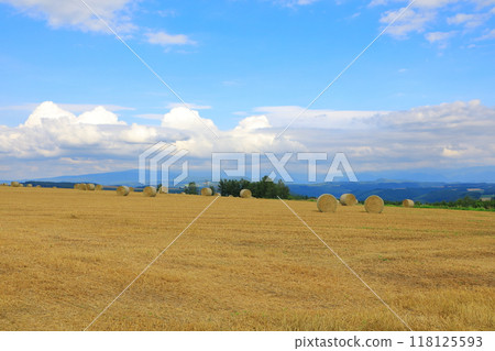 修實之丘 - 廣闊的丘陵麥田，長滿了麥稈卷 118125593