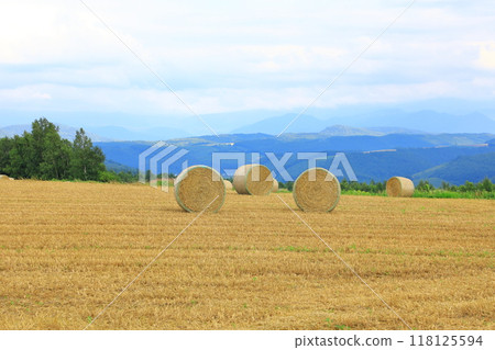 修實之丘 - 廣闊的丘陵麥田，長滿了麥稈卷 118125594