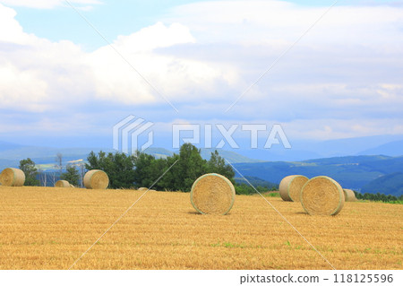 Jyujitsu Hill: A vast hilly wheat field with straw rolls 118125596