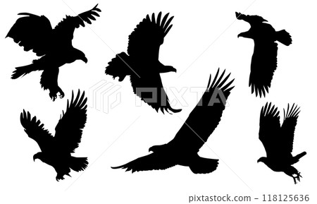 Animals eagle hawk bird fly swoop attack silhouette set collection on white background vector Animals eagle hawk bird fly swoop attack silhouette set collection on white background vector 118125636