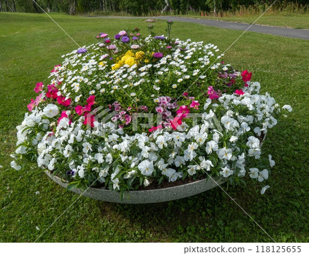 Flower decoration in a park in Kiruna, Lapland, Sweden. Flower decoration in a park in Kiruna, Lapland, Sweden. 118125655