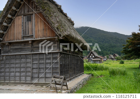 夏天 白川鄉/岐阜縣 118125711