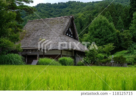 Shirakawa-go in Summer/Gifu Prefecture Shirakawa-go in Summer/Gifu Prefecture 118125715