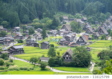 View of Shirakawa-go in summer/Gifu Prefecture View of Shirakawa-go in summer/Gifu Prefecture 118125799