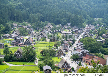 白川鄉/岐阜縣的夏日景色 白川鄉/岐阜縣的夏日景色 118125800