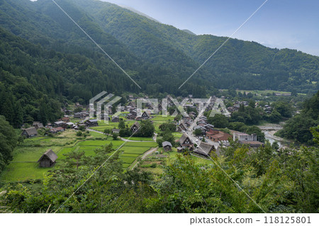 白川鄉/岐阜縣的夏日景色 白川鄉/岐阜縣的夏日景色 118125801