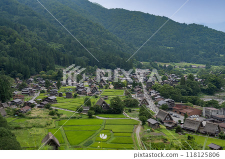 夏天 白川鄉/岐阜縣 118125806