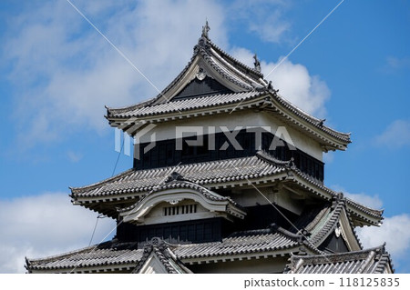 夏季的松本城/長野縣 夏季的松本城/長野縣 118125835