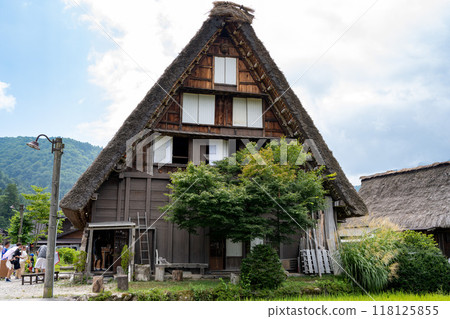 夏天 白川鄉/岐阜縣 夏天 白川鄉/岐阜縣 118125855