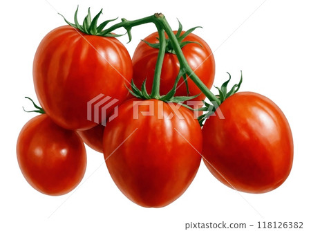 Tomato on branch, isolated on white background, full depth of field, Artisitic painting not photography 118126382