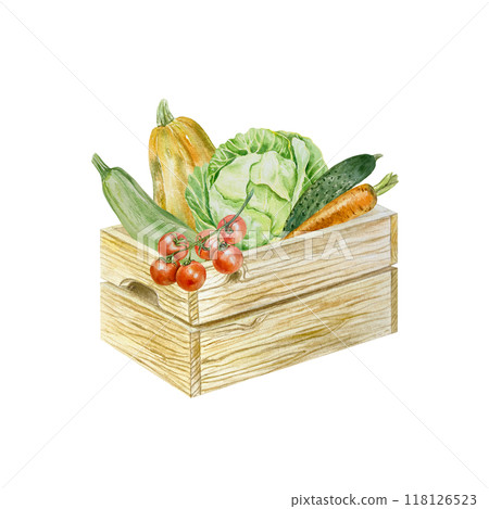 Wooden box with vegetables watercolor. Cabbage, pumpkin, zucchini, cucumber, tomatoes. Illustration isolated. Labels, cookbooks, recipes for preserves, postcards for Harvest and Vegetarian Day. 118126523