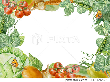 Autumn vegetable frame watercolor, horizontal. Cabbage, peppers, tomatoes, peas, carrots, onions. Hand drawn illustration isolated on white. For labels, packages, postcards, cookbooks, recipes. 118126526