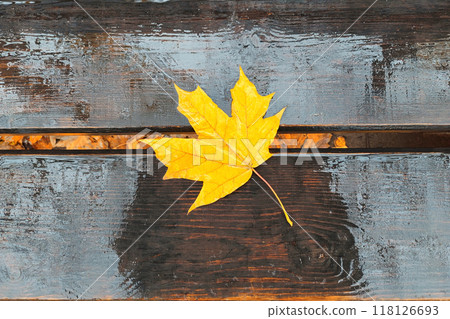 Autumn - bench in autumn park. Bench in autumn park 118126693