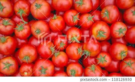 Close up photo of organic tomatoes, selective focus. 118126930