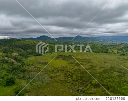 Mountain landscape: Green forest and plants. Blue sky and clouds. Mindanao, Philippines. 118127668