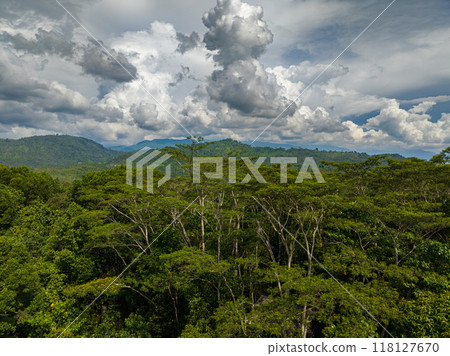 View from above: Scenic landscape with woodland and jungle in tropical mountain province. Mindanao, Philippines. View from above: Scenic landscape with woodland and jungle in tropical mountain province. Mindanao, Philippines. 118127670